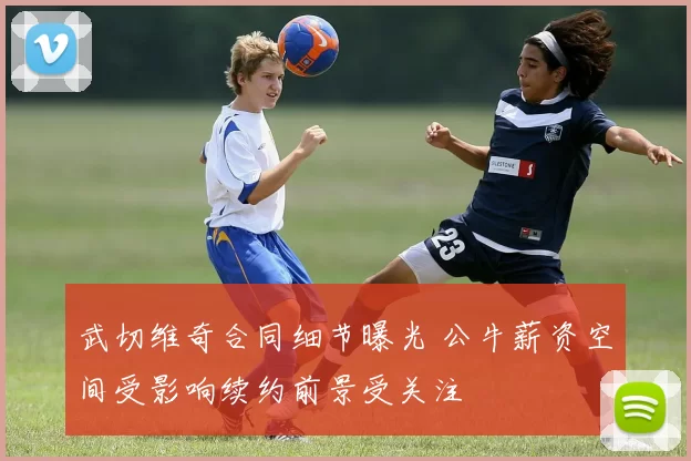 武切维奇合同细节曝光 公牛薪资空间受影响续约前景受关注