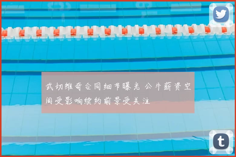 武切维奇合同细节曝光 公牛薪资空间受影响续约前景受关注