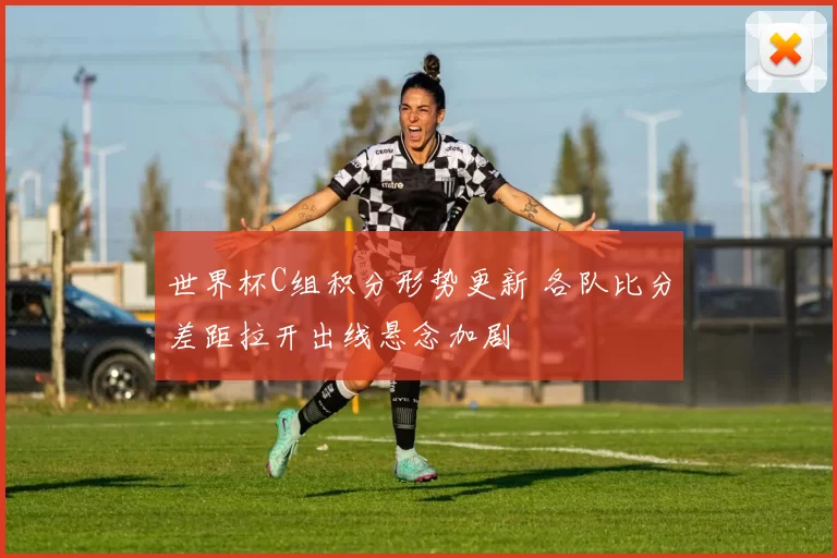 世界杯C组积分形势更新 各队比分差距拉开出线悬念加剧